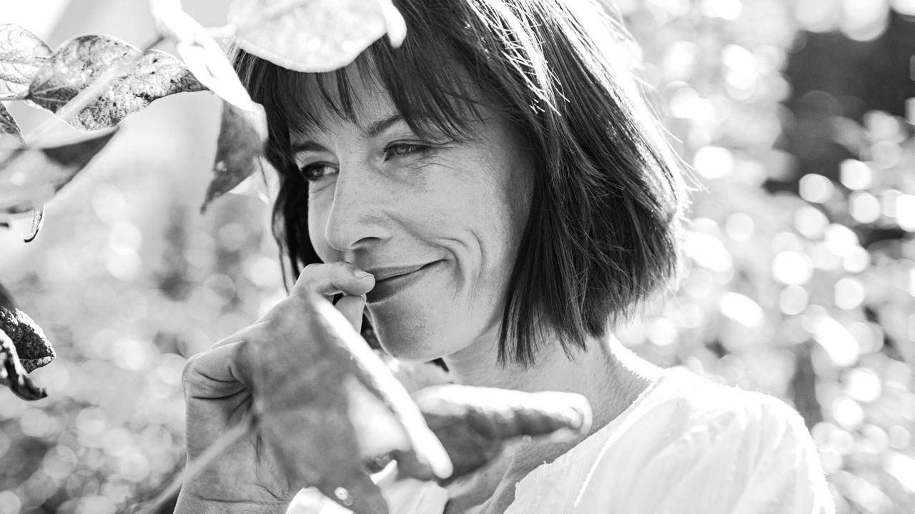 Curcumina con vitamina E, D3 e CBD attivato