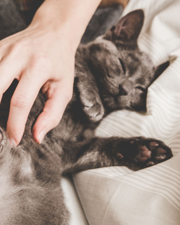 Mit Wirkstoffen aus &uuml;ber 350 Kr&auml;utern