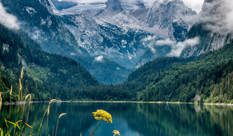 Cos'&egrave; l'olio di CBD a spettro completo?